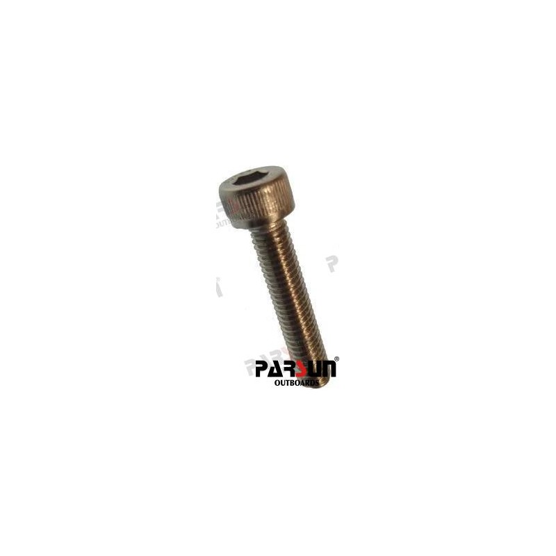 BOLT M5X25