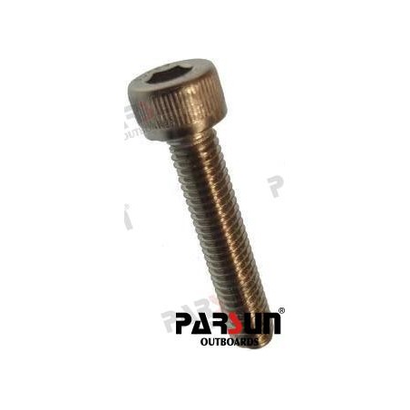BOLZEN M5X25