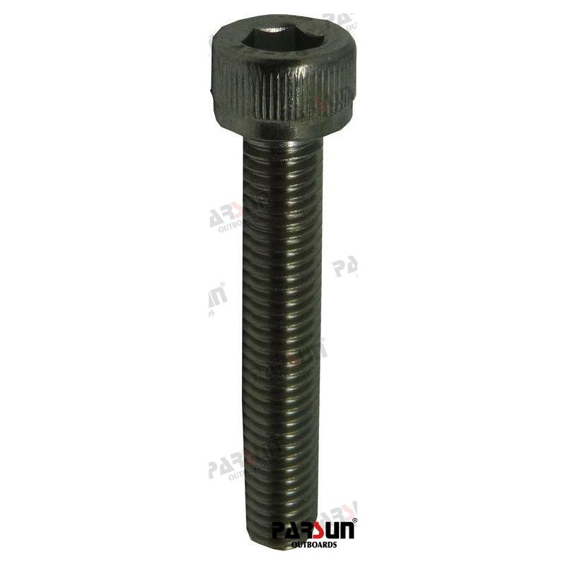 INNER HEXAGON BOLT M6X35