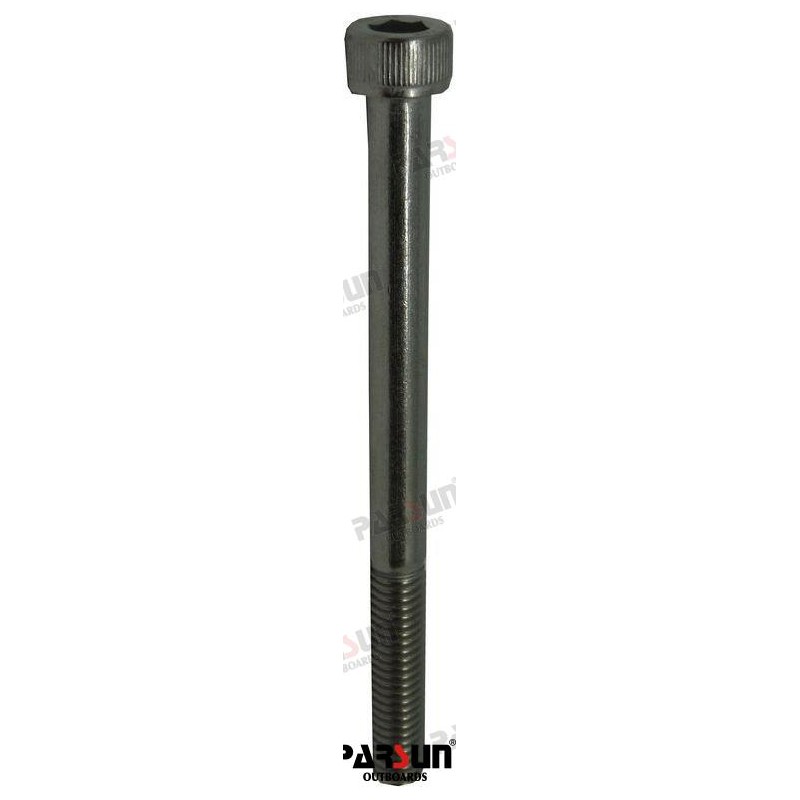 BOLT M6X75