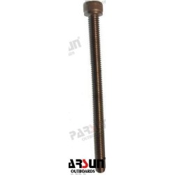 BOLT M6X85