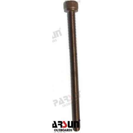 BOLT M6X85