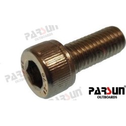 SCREW M8X20