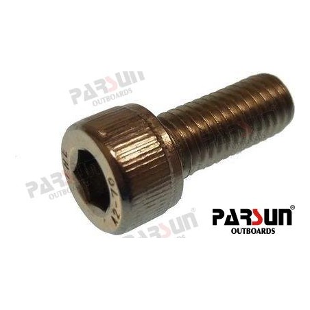 SCREW M8X20