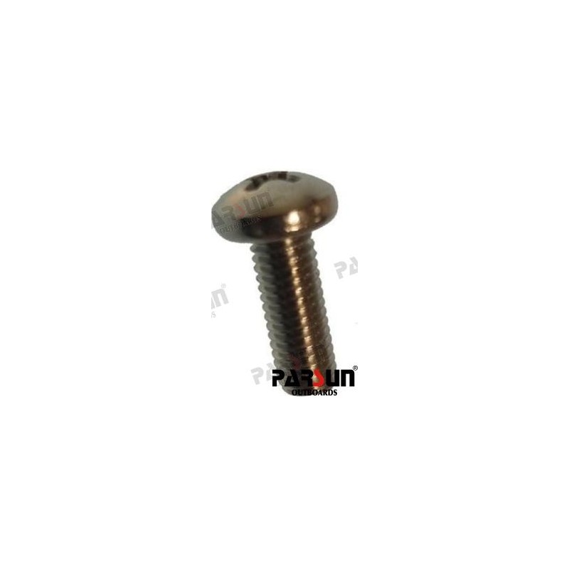 SCHRAUBE LINSENKOPF M5X14