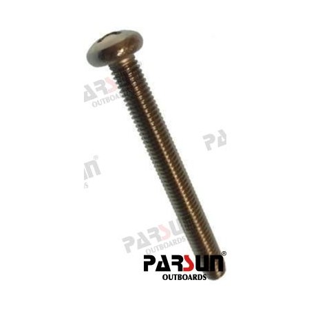 SCREW PAN HEAD M5X45