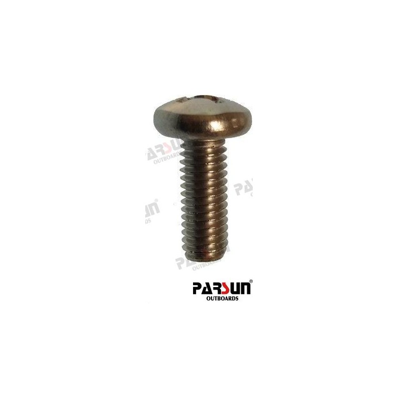 SCREW M6X10