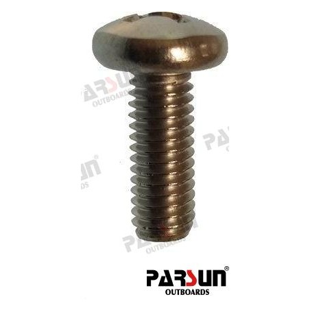 SCREW M6X10