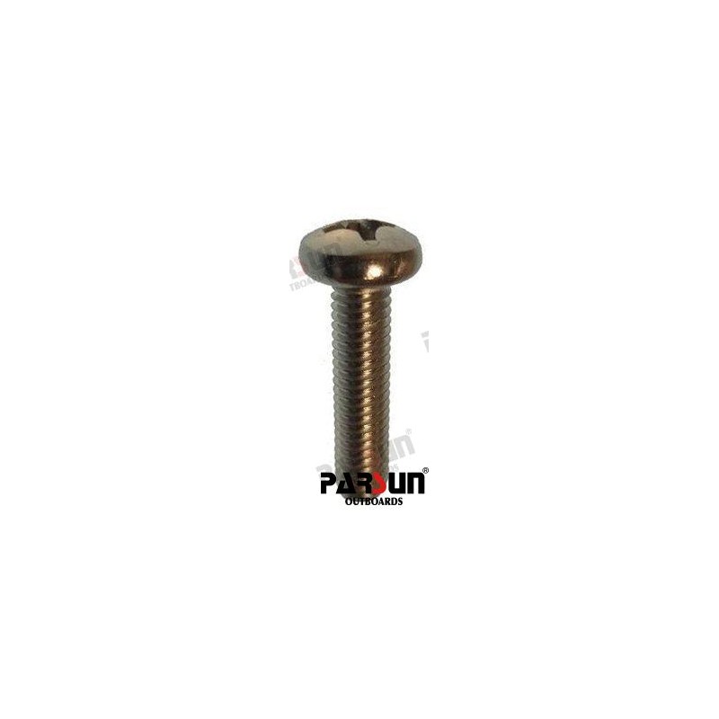 SCREW PAN HEAD M6X25