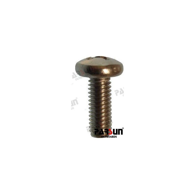 SCREW M6X35