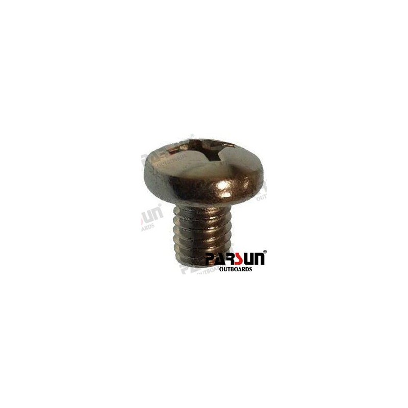 SCREW PAN HEAD M6X8