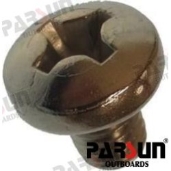SCREW PAN HEAD M8X10