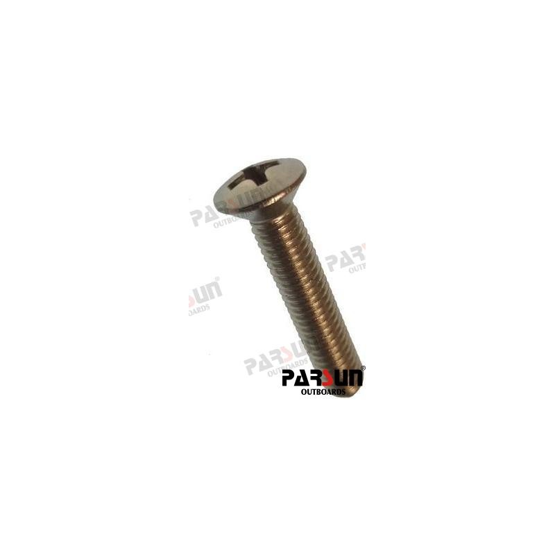 SCREW M5X25
