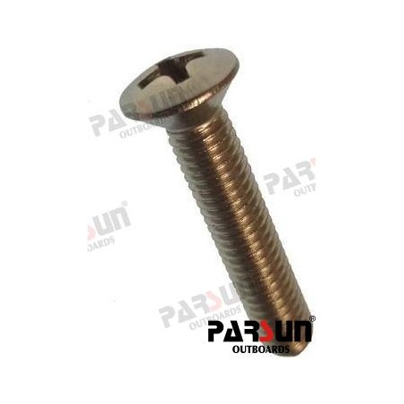 SCREW M5X25