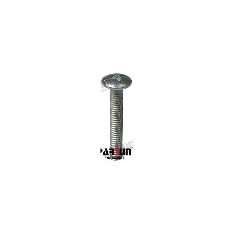 SCREW PAN HEAD M5X30