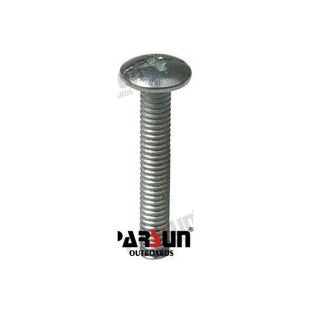 SCREW PAN HEAD M5X30