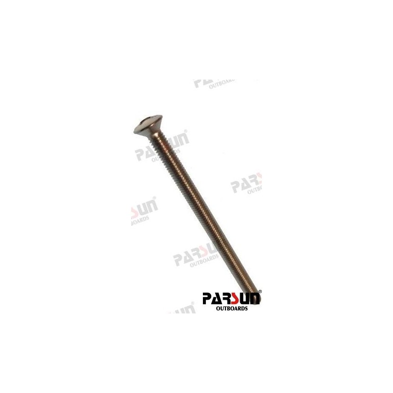 SCREW M6X90