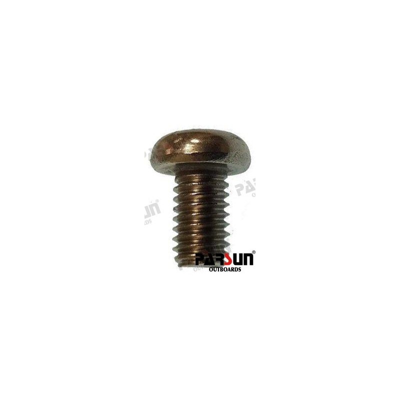 BOLT M6X10