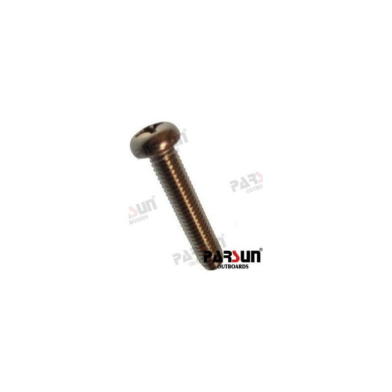 SCREW SMALL PAN HEAD M6X30