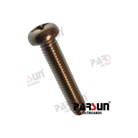 SCREW SMALL PAN HEAD M6X30