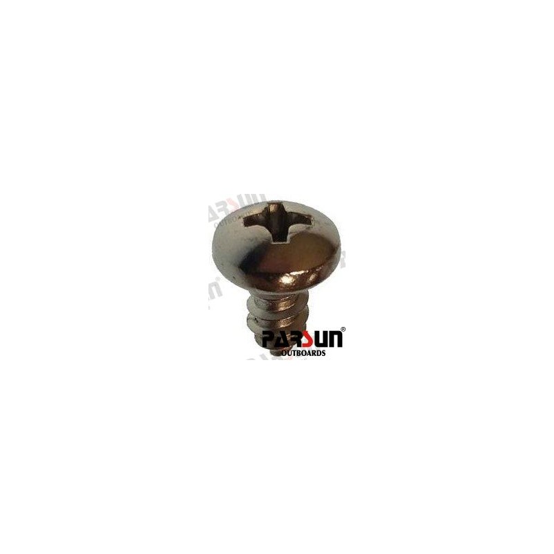 SCREW PANHEAD ST4 8X9