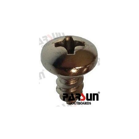 SCREW PANHEAD ST4 8X9