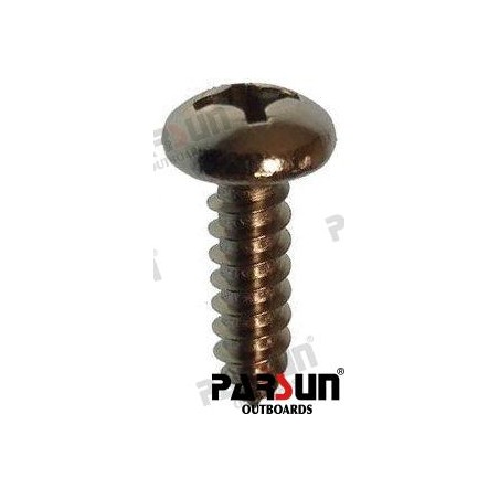 SCREW PAN HEAD ST5.5X19