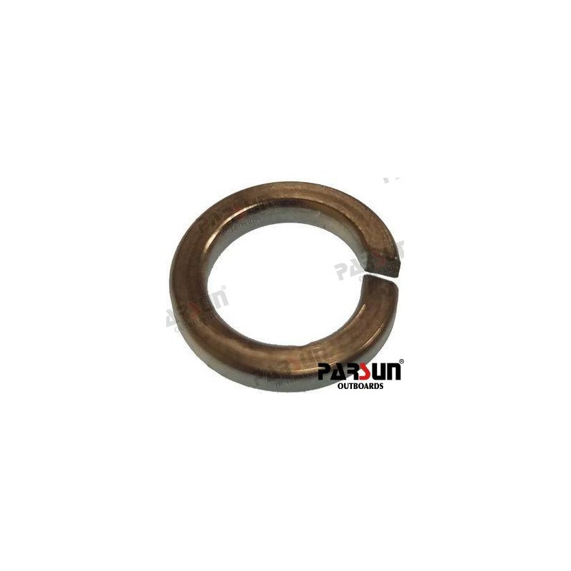 WASHER SPRING 10