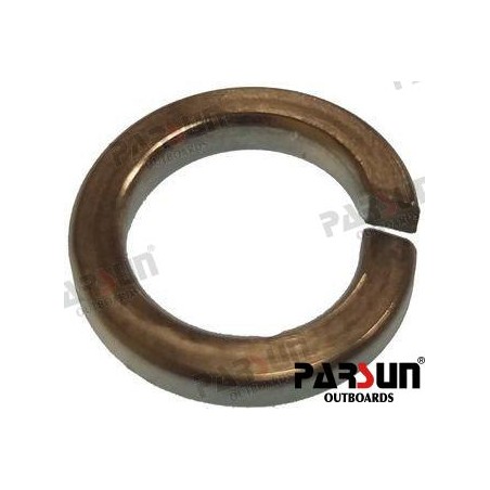 WASHER SPRING 10