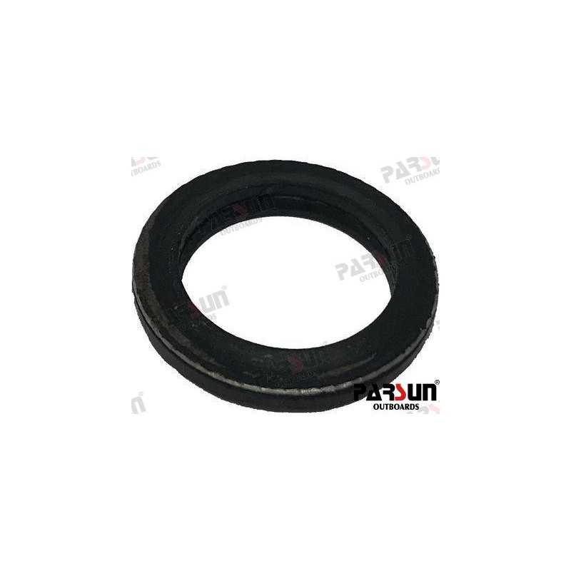 COMPOUND SEAL WASHER 12