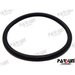 O-RING 24-031