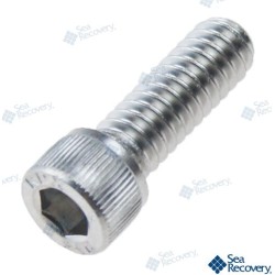 SC SOC CAP 1/4-20X3/4L 316SS
