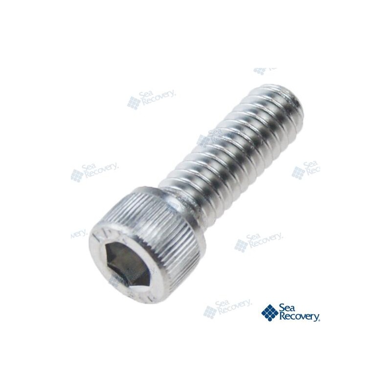 SC SOC CAP 1/4-20X3/4L 316SS