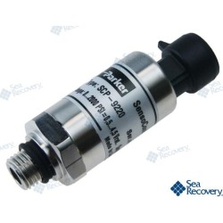 WANDLER 0-2000PSI 7/16SAE