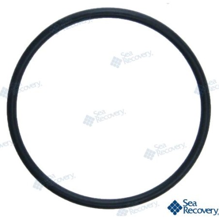 ORING BRINE 3 END PLUG AW 23