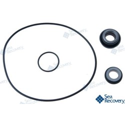 SEAL KIT BOOSTER PMP N200