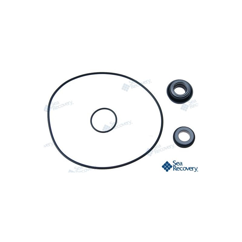 DICHTUNGSSATZ BOOSTER PMP N200