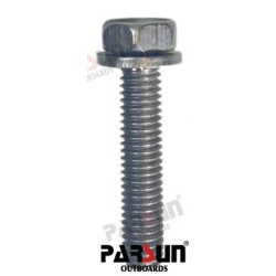 TORNILLO M6X30