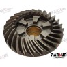 FORWARD GEAR ASSY