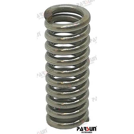 SPRING PLUNGER