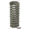 SPRING PLUNGER