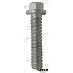 BOLZEN M10X1,25X45