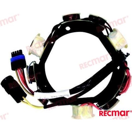 STATOR