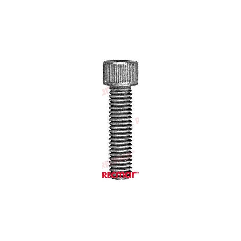 TORNILLO ANODO COLA