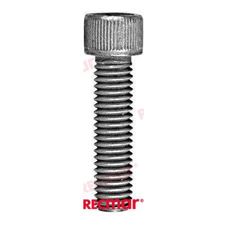 TORNILLO ANODO COLA