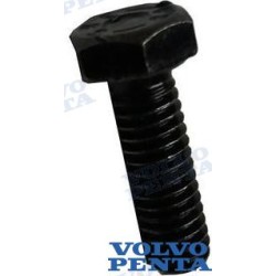 COLLECTOR COVER SCREW