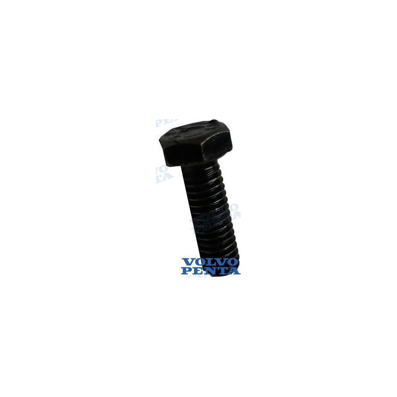 COLLECTOR COVER SCREW