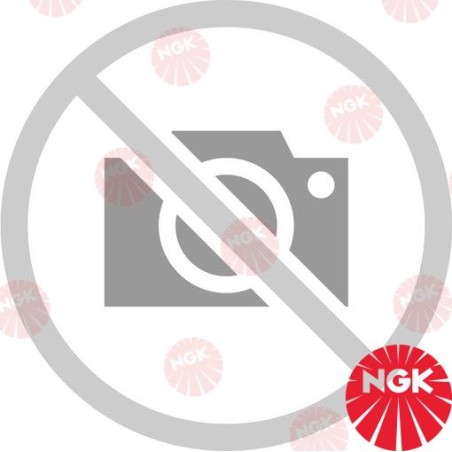 BUJIA NGK MR6K-9