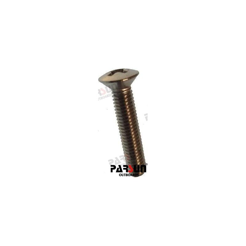 SCHRAUBE M5X25