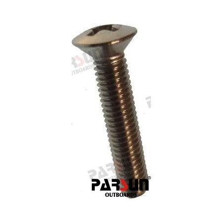 SCHRAUBE M5X25